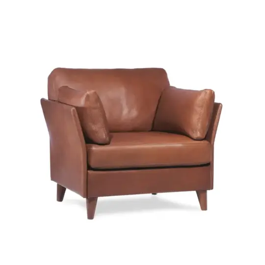 Fauteuil Club Cuir Moderne Neology Rivoli